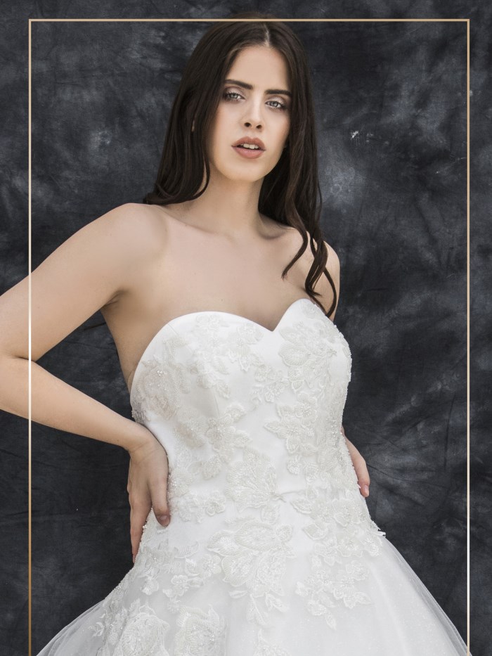 Curvy Wedding Dresses - LX 064